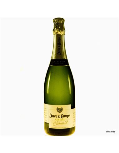 Juvé &amp; Camps Essential Xarel·lo Brut Reserva 2020