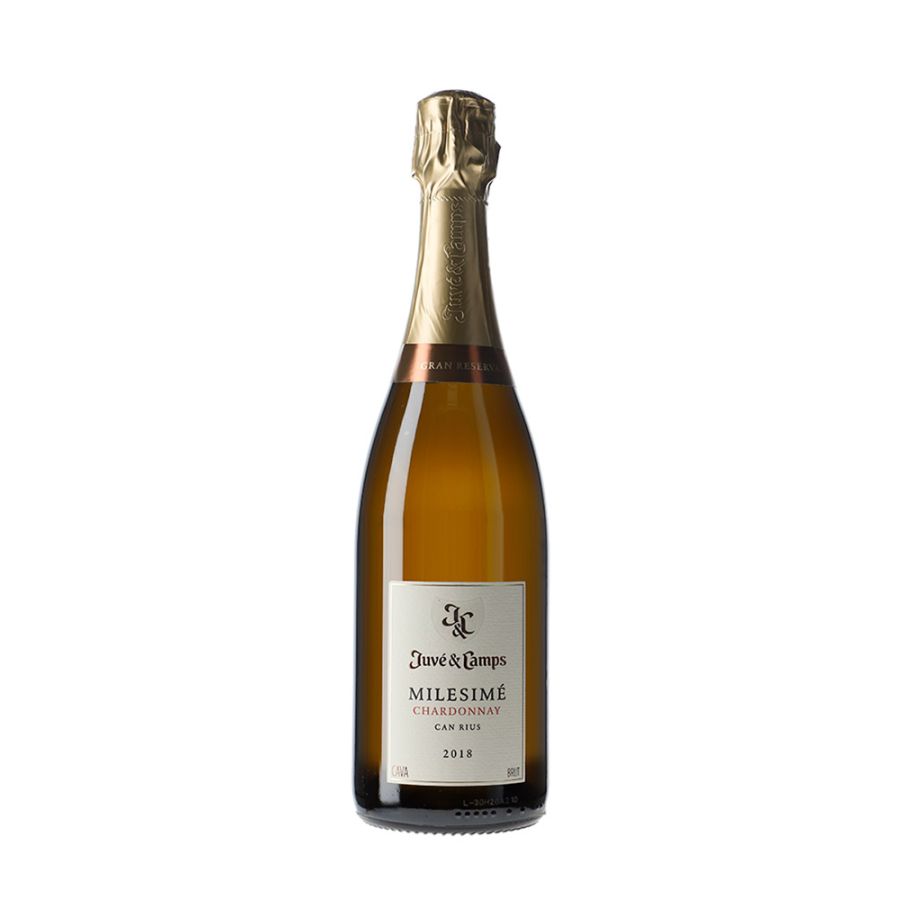 Juvé &amp; Camps Milesimé Chardonnay Brut Gran Reserva 2020