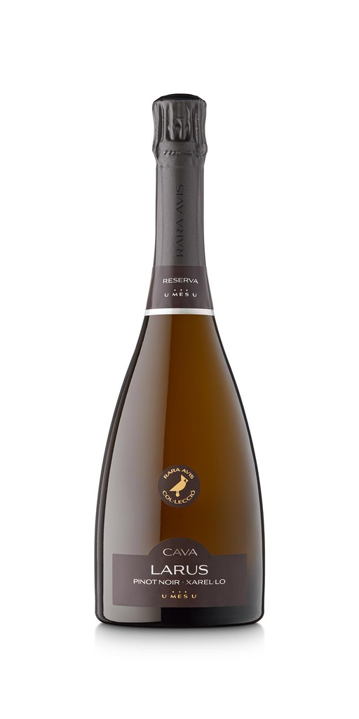 Rara Avis Larus Brut Nature Reserva