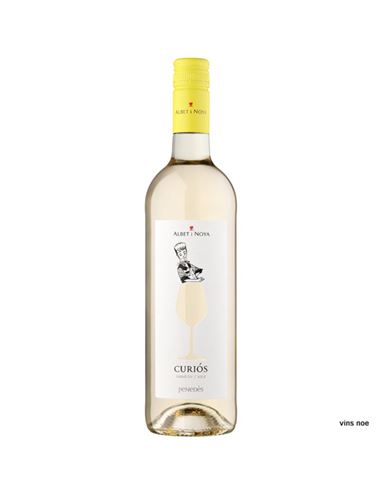 Albet i Noya Curiós Blanc 2025