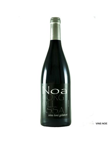 Toni Gelabert Noa Gorgollassa 2018