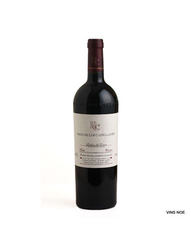 Pago de los  Capellanes Crianza 2023 Magnum