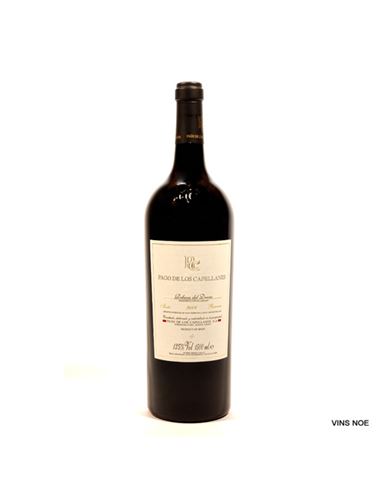 Pago Capellanes Reserva 2021 (Magnum)