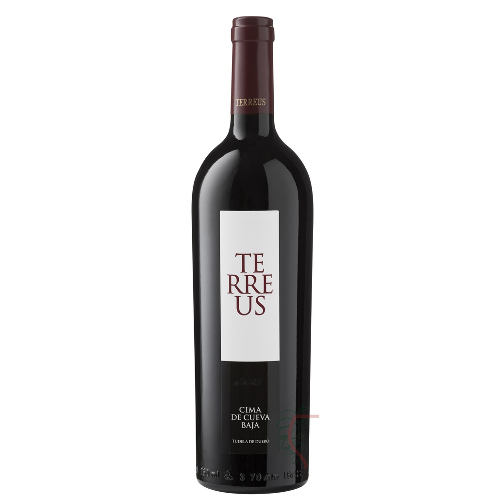 Mauro Terreus Cima de Cueva Baja 2022