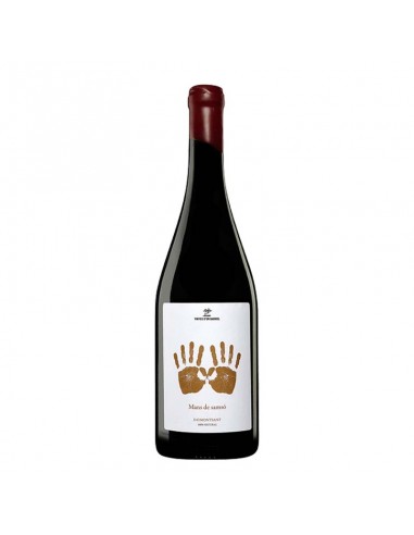 Vinyes d'en Gabriel Mans de Samsó 2021