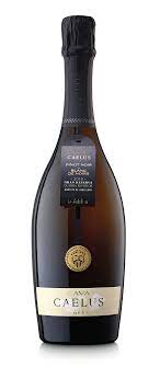 Caelus Brut Nature Gran Reserva 2016