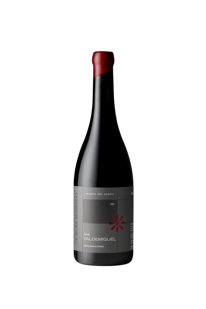 De Blas Serrano Parcela VALDEMIGUEL 2016