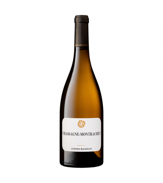Aurore Bachelet Chassagne Montrachet-Blanc 2023