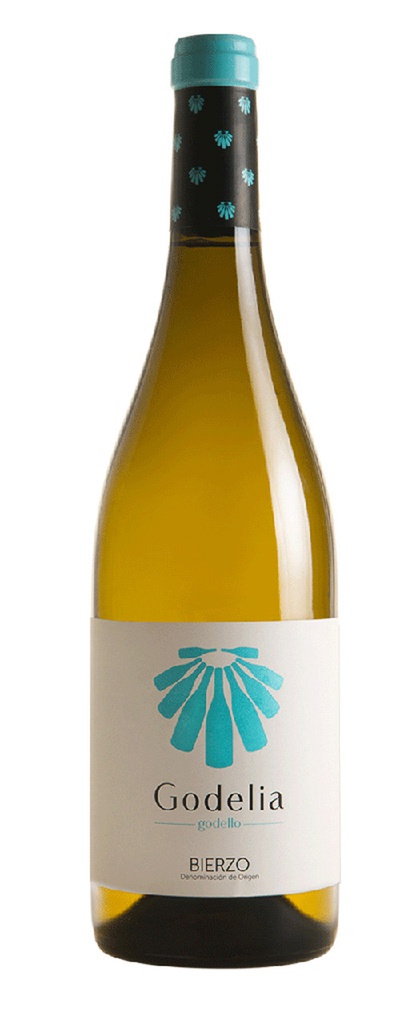 Godelia Blanco 2023