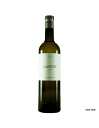 [ALL0016BLA03] Alta Alella Lanius 2021