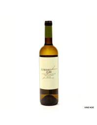 [RIO0288BLA05] Luberri Zuri 2024