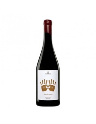 [MTS0461NEG04] Vinyes d'en Gabriel Mans de Samsó 2021