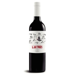 [EMP1114NEG05] L'intrús 2021